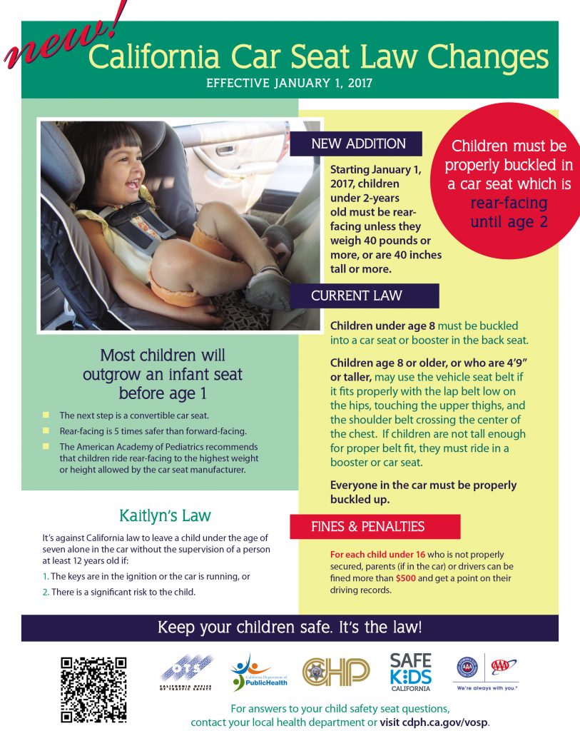 Seat belt and car seat guidelines